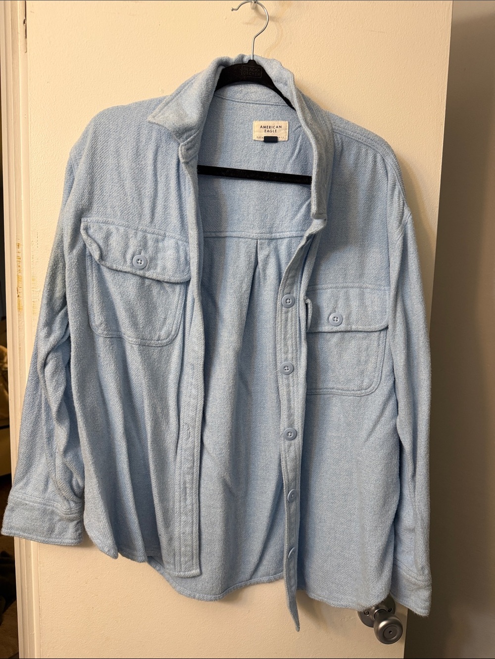 American Eagle Outfitters Light Blue Casual Button-Down Sweater